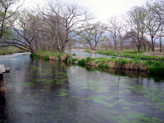 �剤�킳�є_��