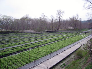 �剤�킳�є_��