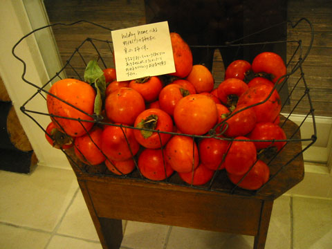 holiday home �ɂ���쐶�̊`�̖؂Ɏ������`