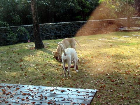 �z���f�[�z�[��